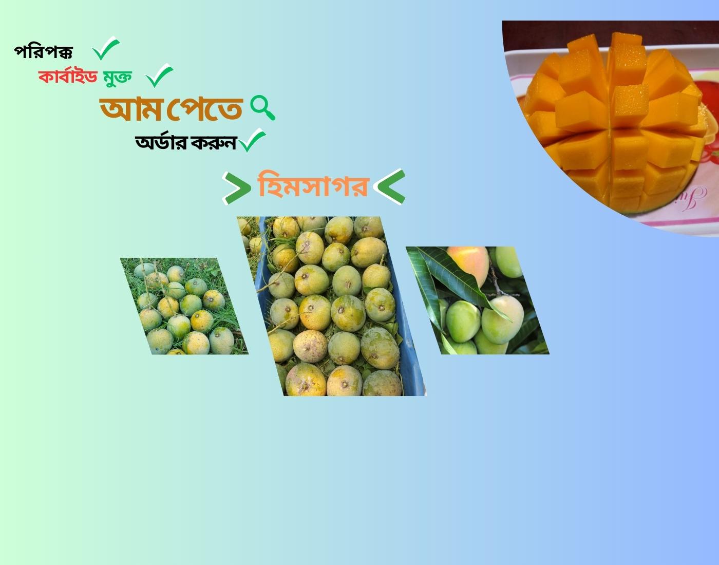 কার্বাইড-মুক্ত-হিমসাগর-আম